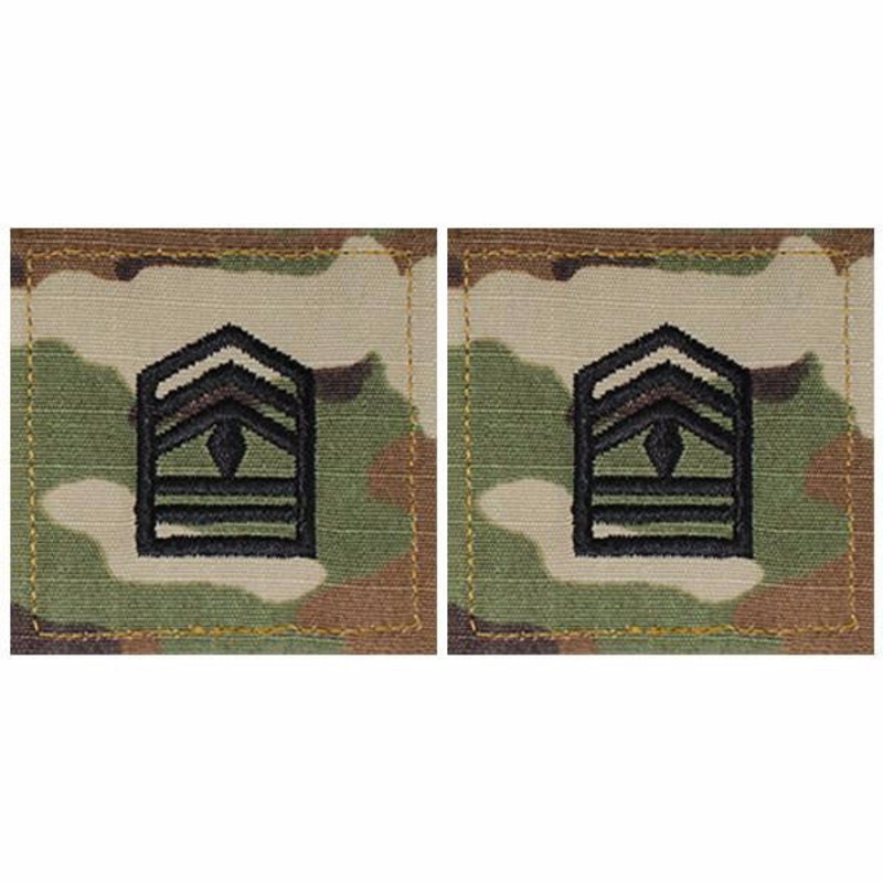 Army ROTC OCP Rank w/hook closure : First Sergeant (1Sgt)