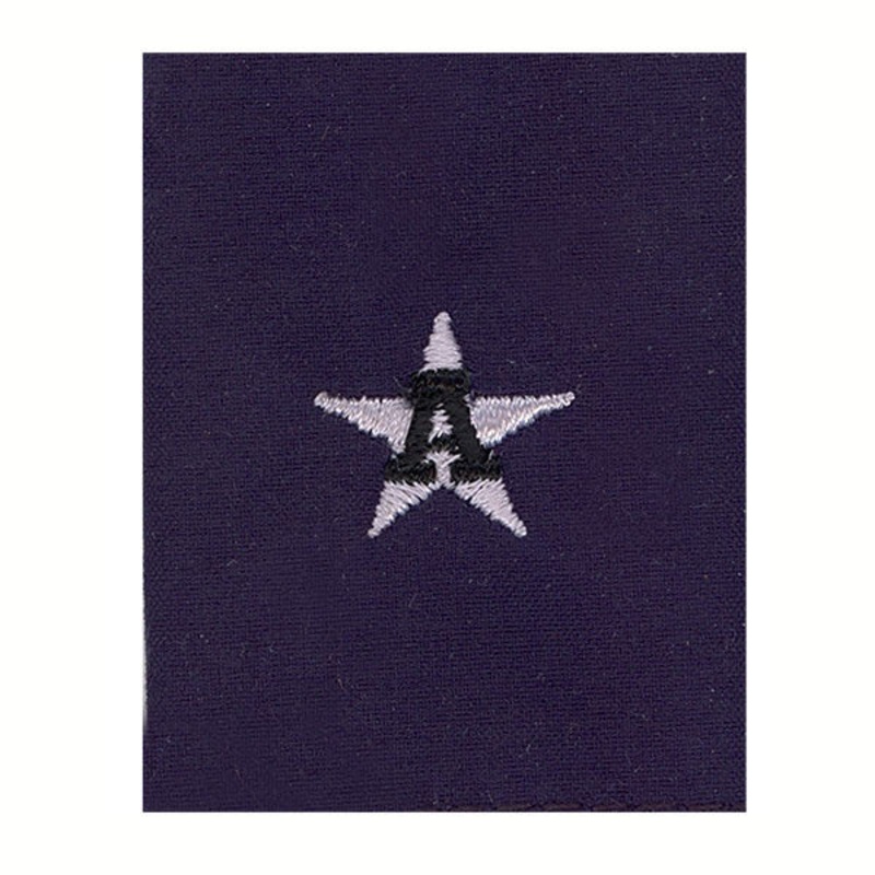 Coast Guard Auxiliary Jacket Tab: DCO