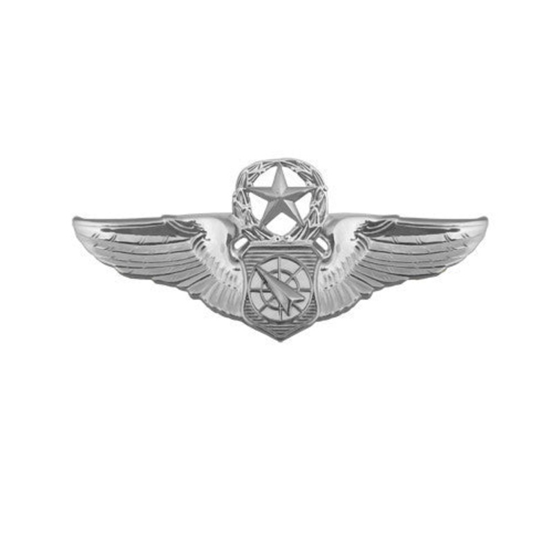 Air Force Badge: Air Battle Manager: Master – miniature