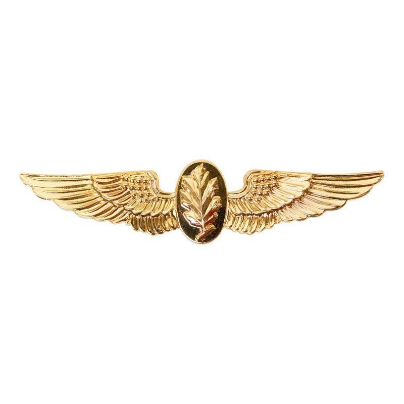 Navy Badge: Aviation Physiologist – regulation size