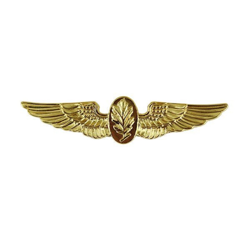 Navy Badge: Aviation Physiologist – miniature, gold finish