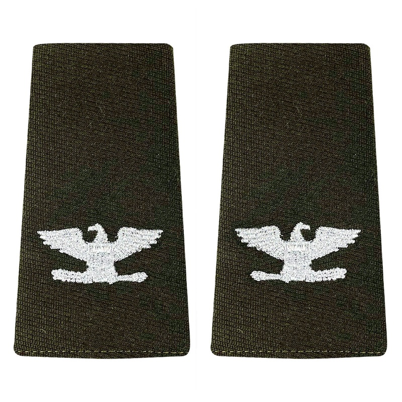 Army AGSU Large Epaulet: Colonel
