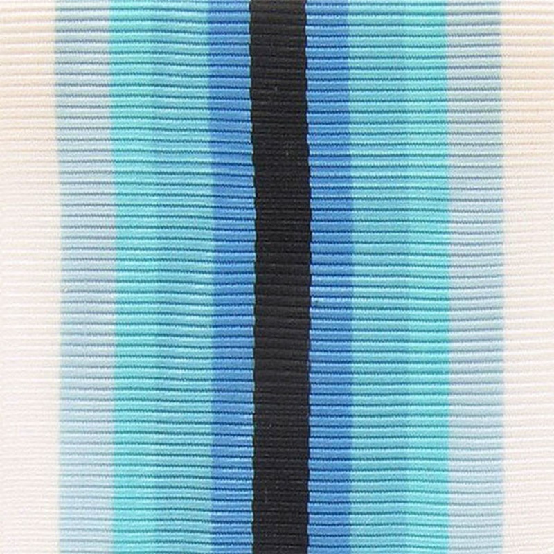 Coast Guard Arctic Service Ribbon Yardage