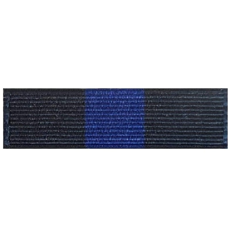 Air Force JROTC Ribbon Unit: JLAB