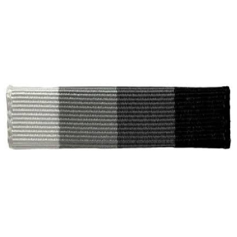 Air Force JROTC Ribbon Unit: Raiders Team